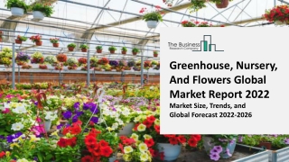 Greenhouse, Nursery, And Flowers Global Market  Industry Analysis, Size, Share, Growth, Trends, By Type, By Application,