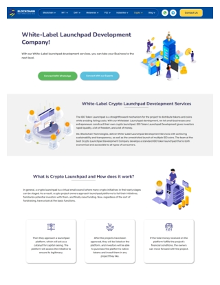 White Label Launchpad Development Company