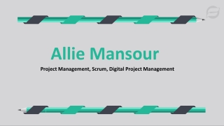 Allie Mansour - A Detail-focused Professional