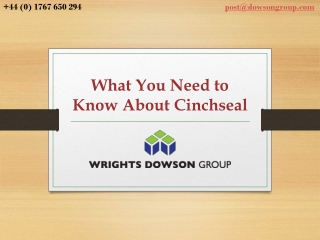What You Need to Know About Cinchseal
