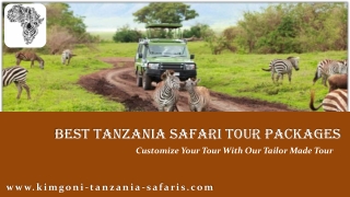 Best Tanzania Safari Tour Packages