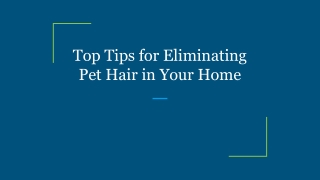 Top Tips for Eliminating Pet Hair in Your Home