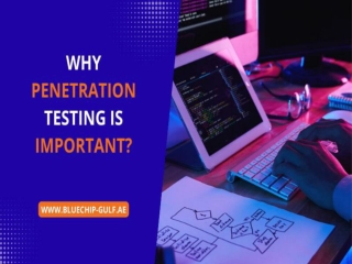 Why penetration testing is important.