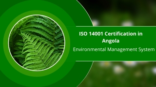 What is ISO 14001 Certification in Angola?