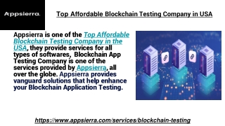 Top Affordable Blockchain Testing Company in USA