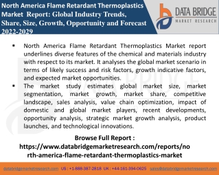 North America Flame Retardant Thermoplastics Market PPT-Chemical Material