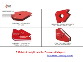 A Detailed Insight into the Permanent Magnets