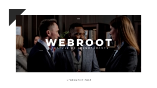 Webroot cyber security Software