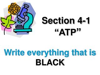 Section 4-1 “ATP ”