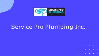 Service Pro Plumbing Inc. (1)