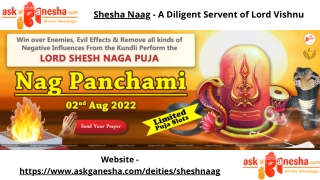Shesha Naag - A diligent servent of Lord Vishnu  AskGanesha.com