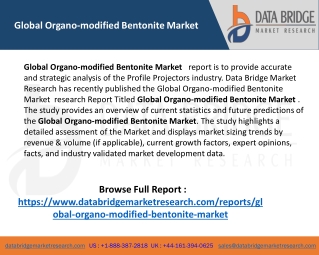 Global Organo-modified Bentonite Market Size