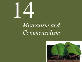 Mutualism and Commensalism
