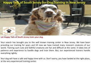 Happy Tails of South Jersey for-Dog Training in New Jersey