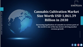 Cannabis Cultivation Market Analysis, Opportunities, Trends, Product Launch