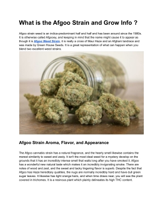 What is the Afgoo Strain and Grow Info?