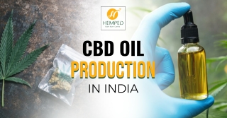 CBD Oil Production In India - Order From Urhemped