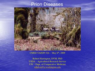 Prion Diseases