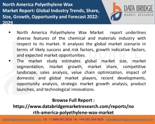 North America Polyethylene Wax Market PPT-Chemical Material