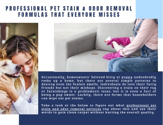 Removal Of Pet Stains With Experts