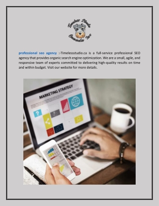 Professional Seo Agency  Timelessstudio.ca