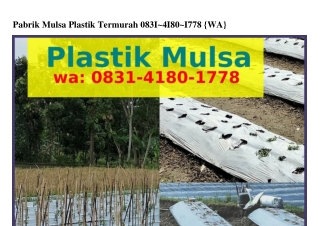 Pabrik Mulsa Plastik Termurah ౦83I~ᏎI8౦~Iᜪᜪ8{WhatsApp}