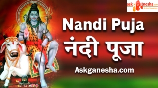 Nandi Puja & Homam  Online puja Remedy for Good Career