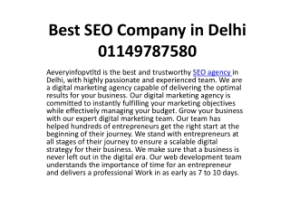 Best SEO Company in Delhi 01149787580