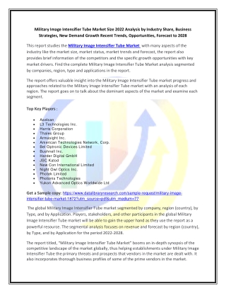 Global Military Image Intensifier Tube Market Opportunities and Forecast 2020-20