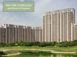 Buy DLF Camellias Apartment in Gurgaon