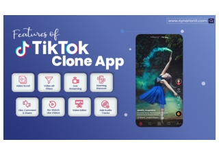 Builde Your Fully Customized TikTok Clone App