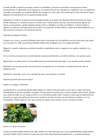 Guía basica de Funeraria Zaragoza 24h para hacer las preparativas funerarias