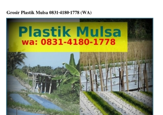 Grosir Plastik MulsaGrosir Plastik Mulsa ౦831•ㄐ18౦•1778{WhatsApp}
