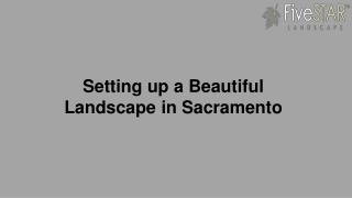 Setting up a Beautiful Landscape in Sacramento