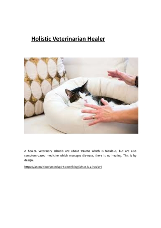 Holistic Veterinarian Healer
