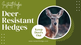 Top 5 Deer-Resistant Hedges to Keep Gardens Safe