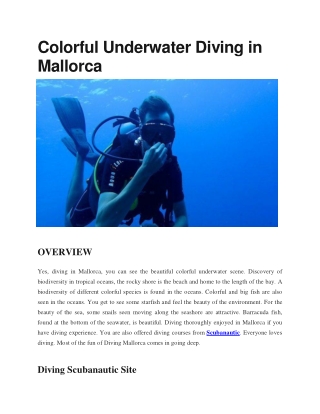 Colorful Underwater Diving in Mallorca