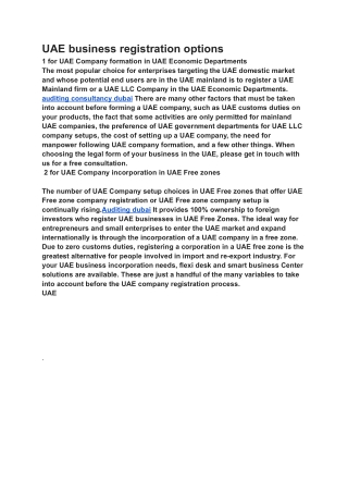 auditing pdf