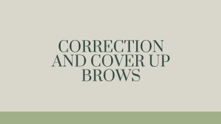 Correction And Cover Up Brows PPT