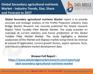 Global Secondary agricultural nutrients Market 