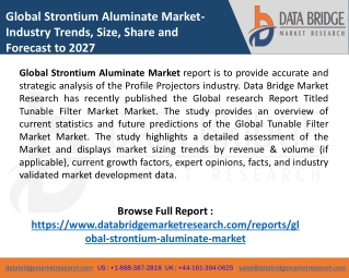Global Strontium Aluminate Market
