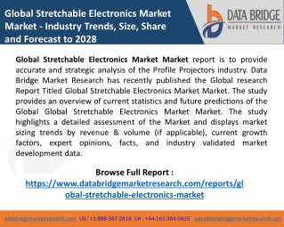 Global Stretchable Electronics Market
