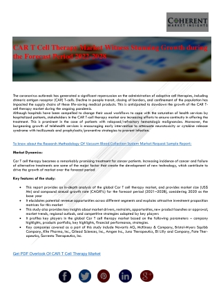 CAR T Cell Therapy Market