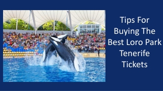 Tips For Buying The Best Loro Park Tenerife Tickets