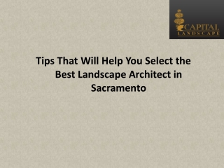 Tips That Will Help You Select the Best Landscape Architect in Sacramento