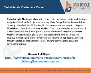 Global Acrylic Elastomers Market Size