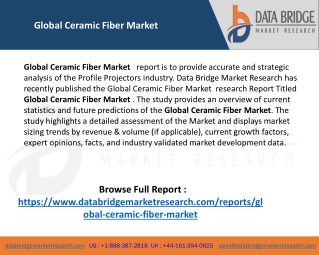 Global Ceramic Fiber Market Share