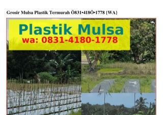 Grosir Mulsa Plastik Termurah ౦83I·ㄐI8౦·Iᜪᜪ8(whatsApp)