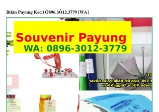 Bikin Payung Kecil Ô89Ϭ_౩Ô12_౩779{WA}