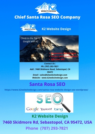 Chief Santa Rosa SEO Company